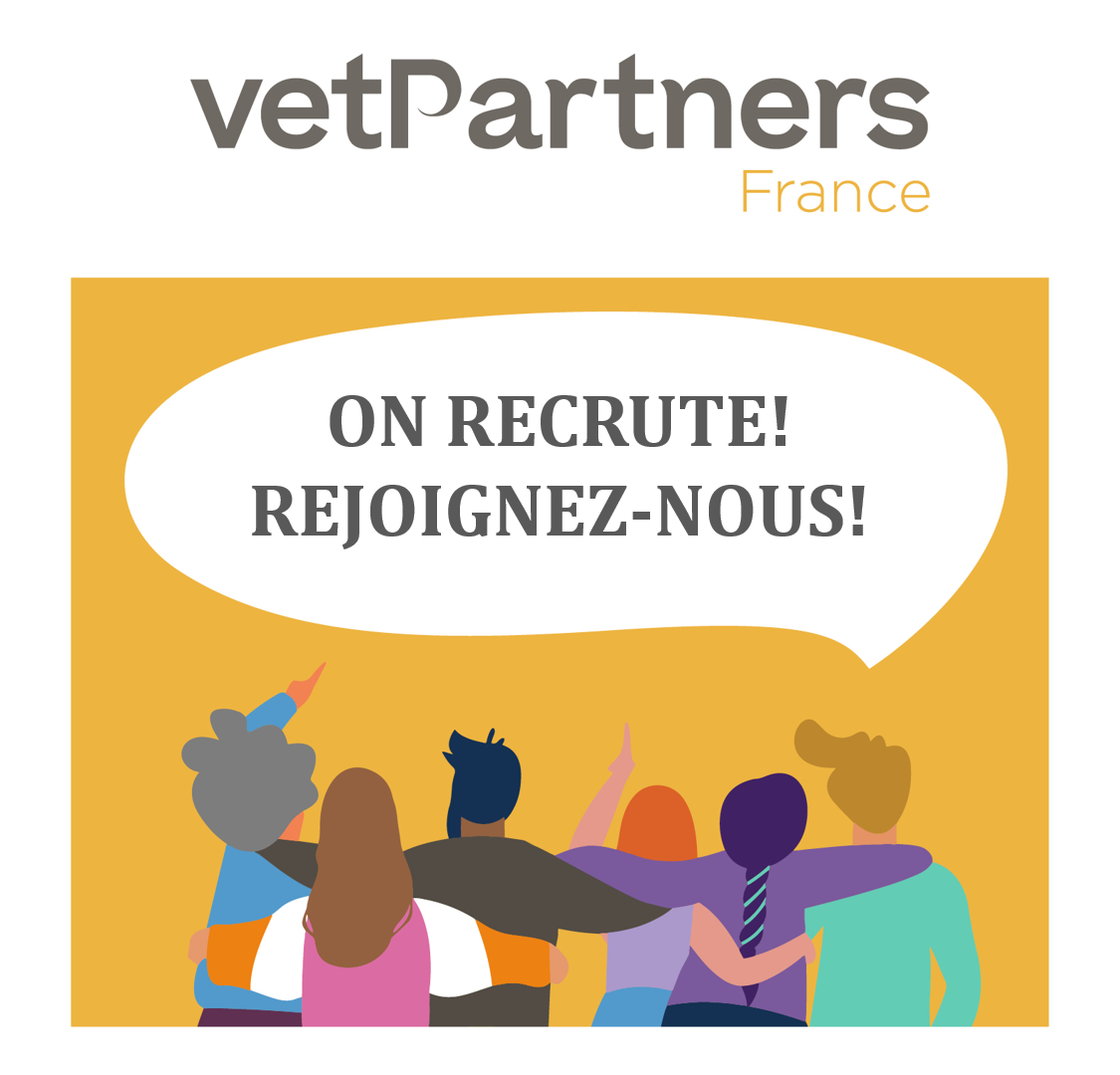 La filiale France de VetPartners recherche, dans le cadre de son développement rapide, un.e Responsable Digital.