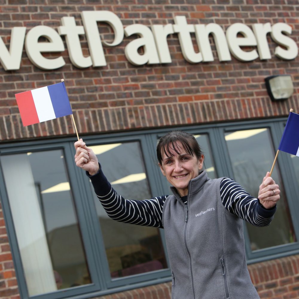 VetPartners dit bonjour à la France