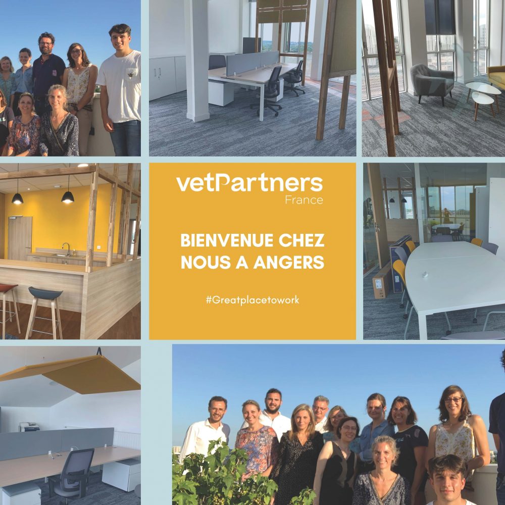 VetPartners France ouvre son nouveau siège social à Angers