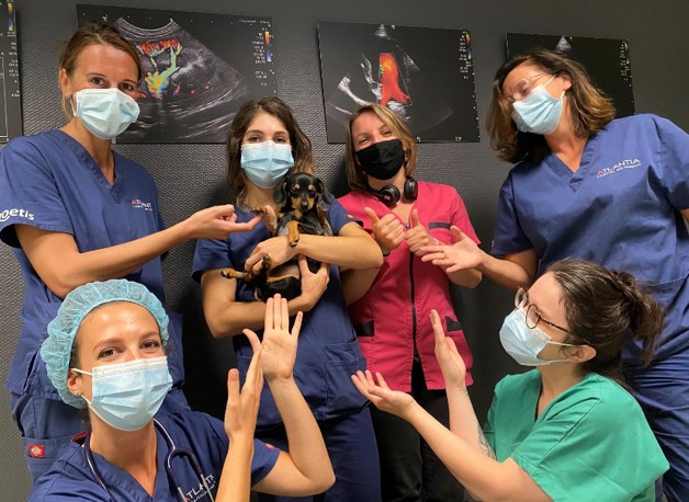 Equipe Veterinaire