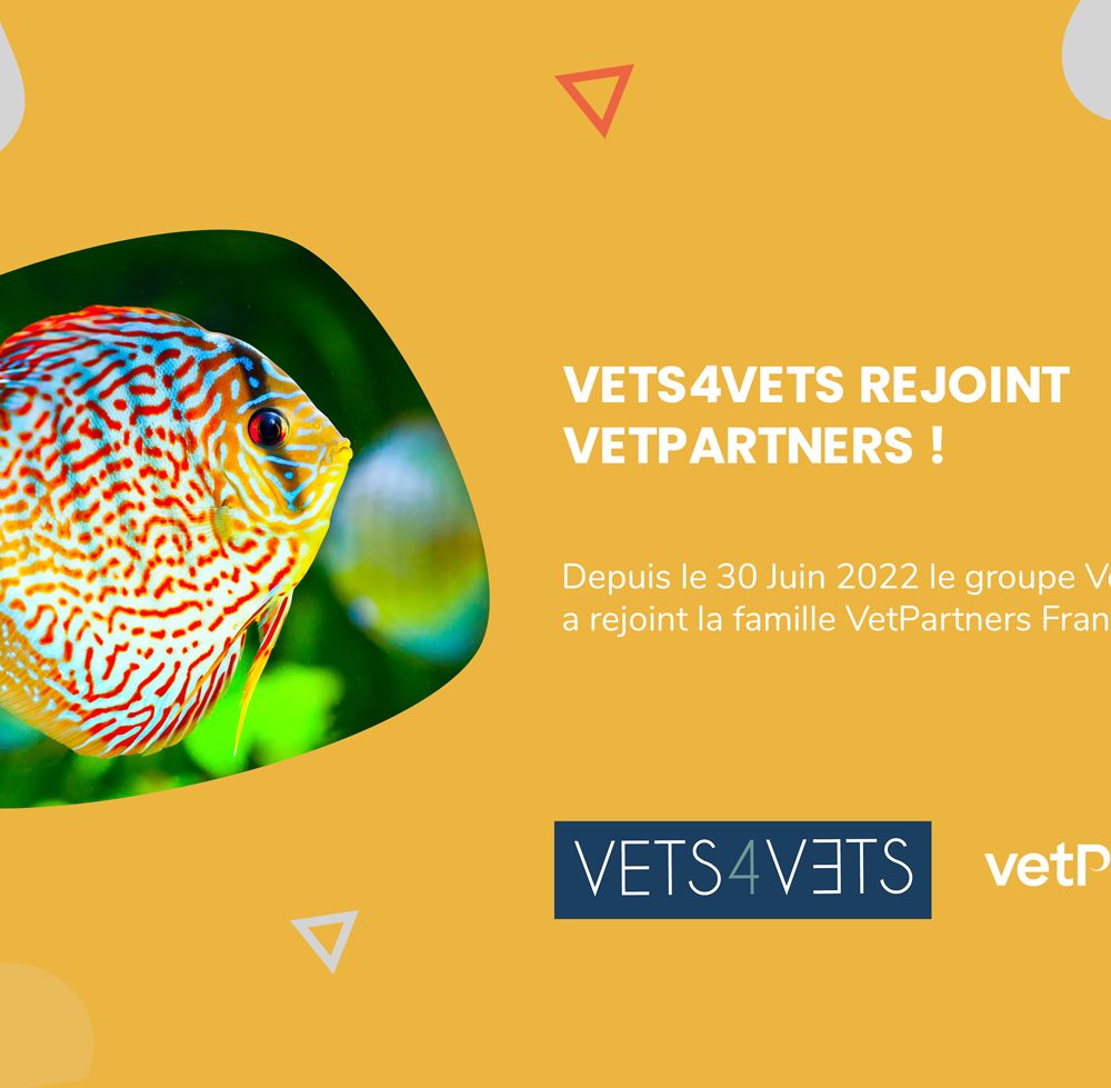 Vets4Vets rejoint la famille VetPartners France !