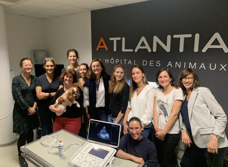 VetPartners forme les vétérinaires à l’échographie