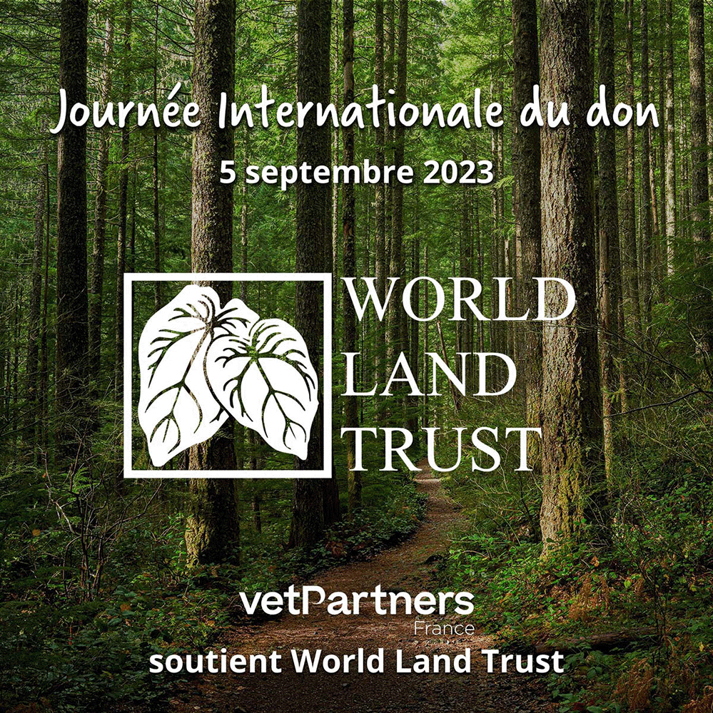 Journée internationale du don
