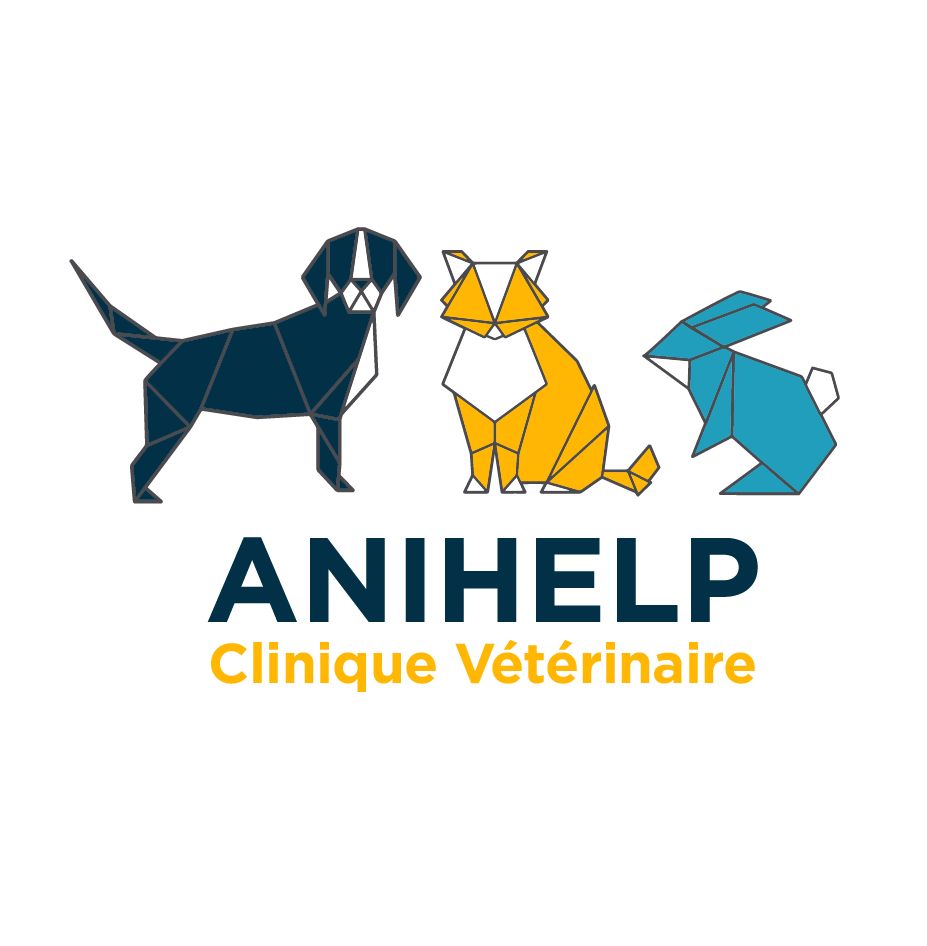 Anihelp