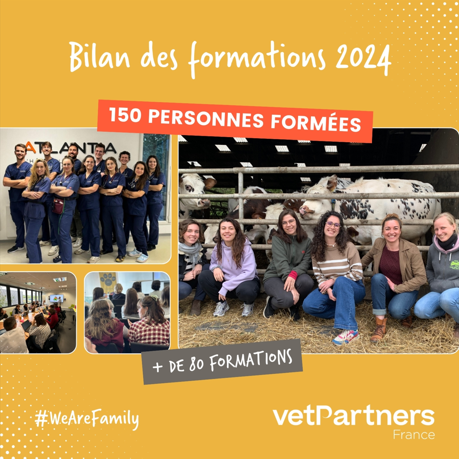 Plus de 80 formations sur l’année 2024 pour les membres de la famille VetPartners