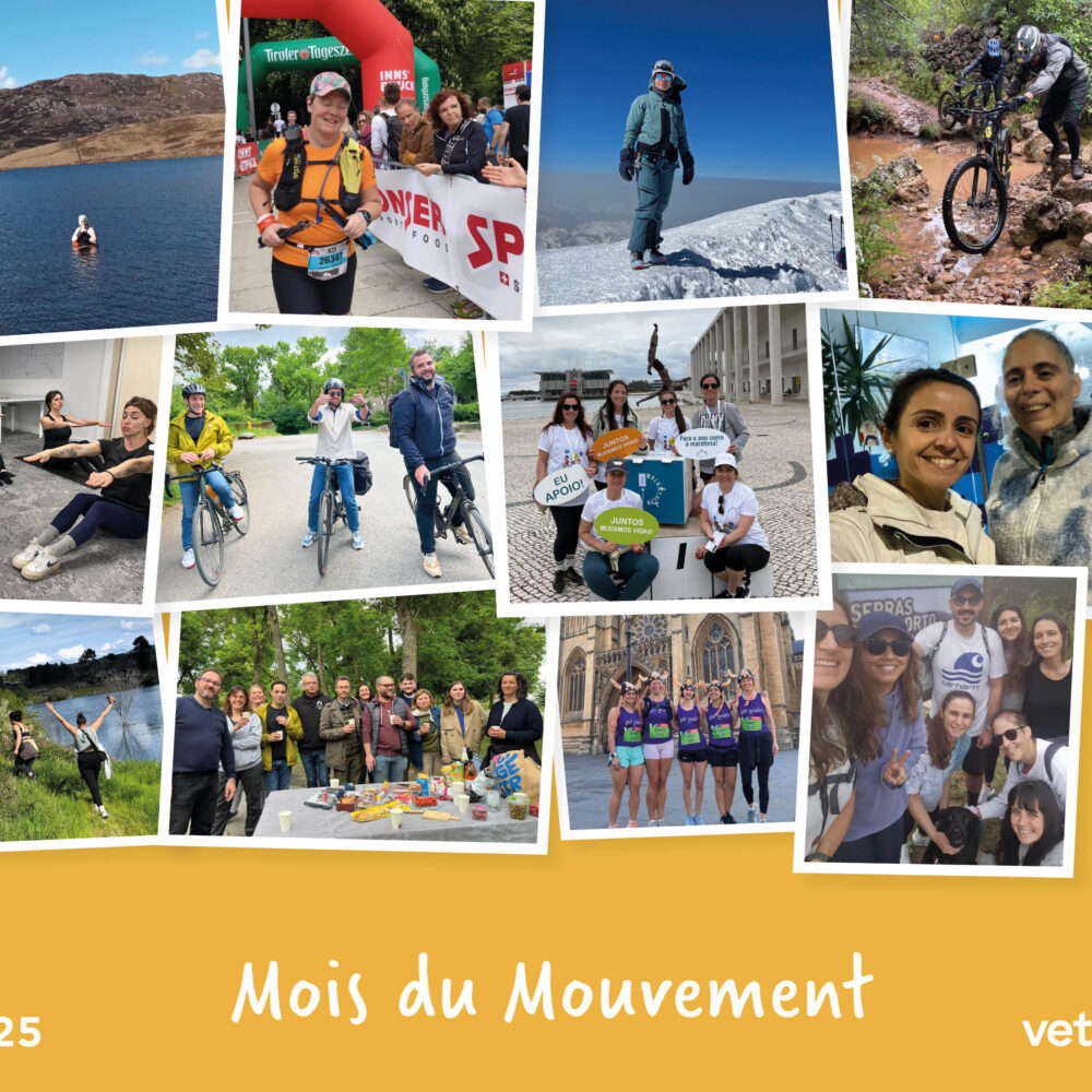 Les collaborateurs de VetPartners récoltent 55 372 £ (65 722 €) en améliorant leur bien-être  