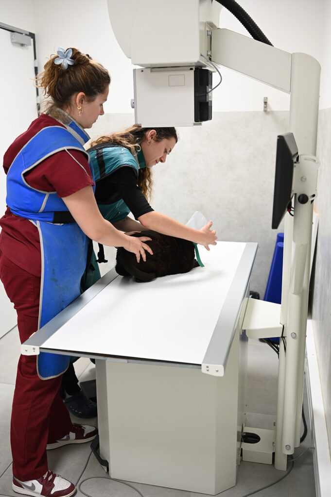 Clinique vétérinaire La Clauvade