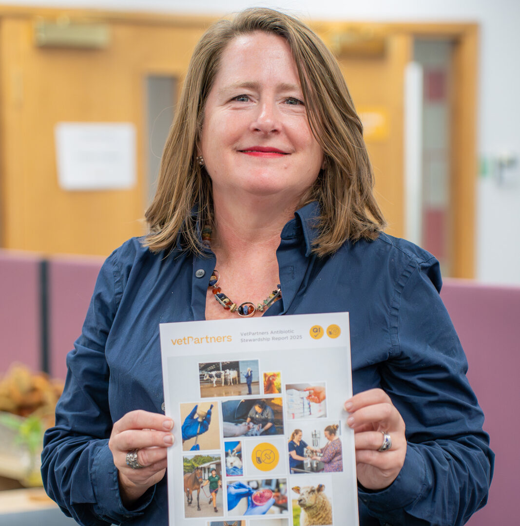 VetPartners s’engage pour la gestion responsable des antibiotiques